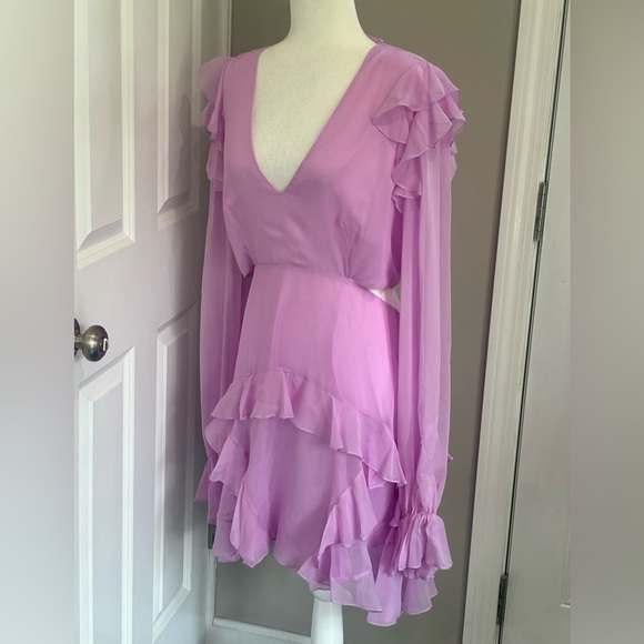 Angelance New York Silk Chiffon Dress - Picture 9 of 14